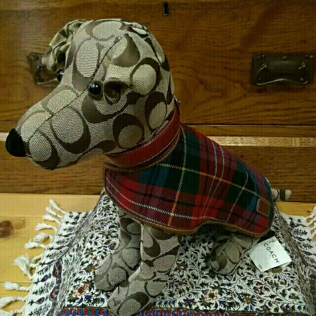 COACH - レア!未使用💖*コーチ COACH 犬 シグネチャー柄 COACH - レア!未使用💖*コーチ COACH 犬 シグネチャー柄