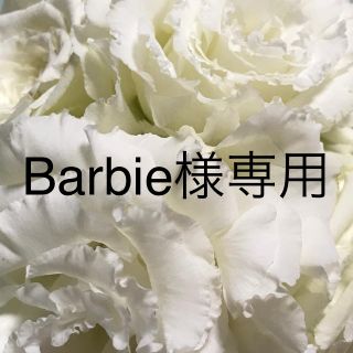 Barbie 様専用 (その他)