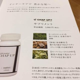 チャップアップ CHAP UP 育毛剤2本 サプリ アロエエキス(新品未開封 ...