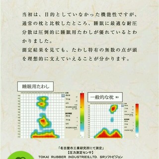 睡眠用たわし(悟空のきもち＋高田耕造商店開発 枕)の通販 by ぽんふり