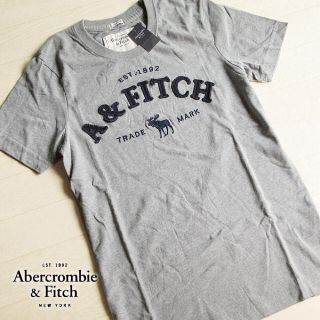 アバクロンビーアンドフィッチ(Abercrombie&Fitch)の新品 Sサイズ アバクロ メンズ 半袖Tシャツ グレー(Tシャツ/カットソー(半袖/袖なし))