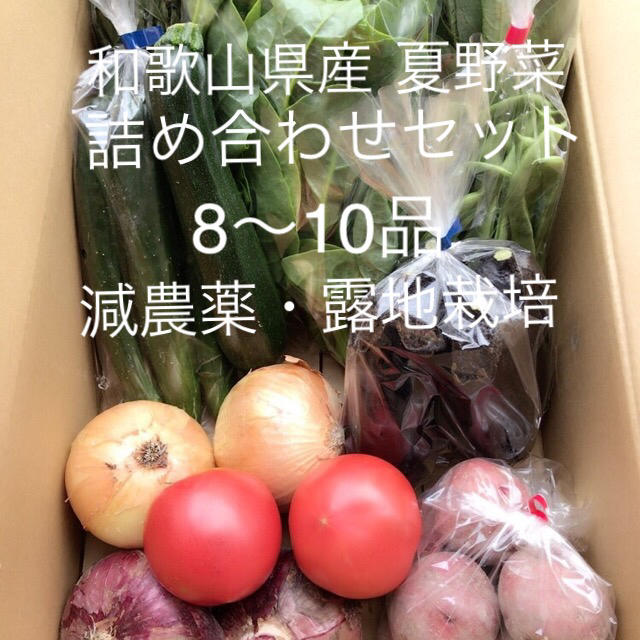 ◆和歌山県産◆夏野菜 詰め合わせセット◆朝採り野菜◆減農薬◆露地栽培◆ 食品/飲料/酒の食品(野菜)の商品写真