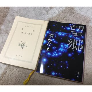 湊かなえ 望郷 母性 2冊セット(文学/小説)