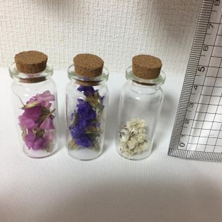 4 ドライフラワー花材 かすみ草 スターチス ミニボトル3本セット(ドライフラワー)