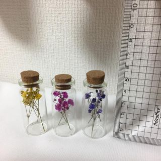 5 ドライフラワー 花材 かすみ草 染めかすみ ミニボトルセット 3本(ドライフラワー)