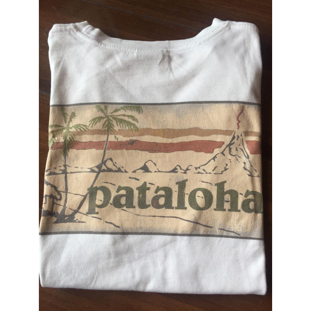 patagonia(パタゴニア)のpatalohaT☆garagara様専用☺︎ メンズのトップス(Tシャツ/カットソー(半袖/袖なし))の商品写真