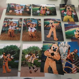 ディズニー(Disney)のディズニー写真ドナデジダッフィー、プルート、グーフィー(その他)