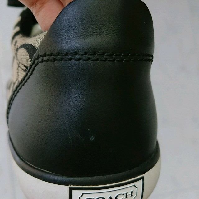 COACH(コーチ)のCOACHスニーカー レディースの靴/シューズ(スニーカー)の商品写真
