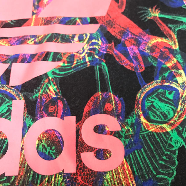 adidas(アディダス)の«珍»adidas Tシャツ レディースのトップス(Tシャツ(半袖/袖なし))の商品写真