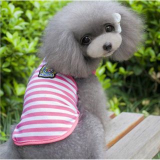 ペット犬服◆新品　ボーダー　ピンク　Ｓ(犬)