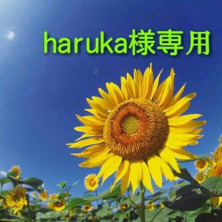 ローリーズファーム(LOWRYS FARM)のharuka様　返金用(ミニワンピース)