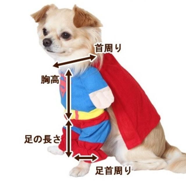 送料0円Ｍ【新品】犬　猫　とスーパーマン　服 メンズの水着/浴衣(帯)の商品写真