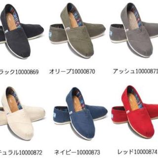 トムズ(TOMS)のトムズ/シューズ/10/アッシュ (スリッポン/モカシン)