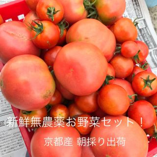 新鮮野菜無農薬60サイズ詰め合わせ(野菜)