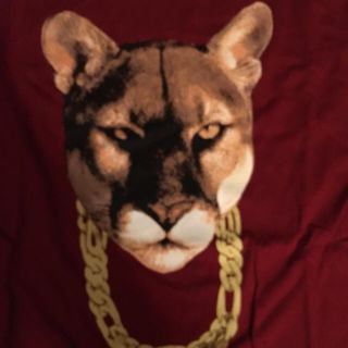 プーマ(PUMA)のPUMA BLING BLING TEE HIP HOP(Tシャツ/カットソー(半袖/袖なし))