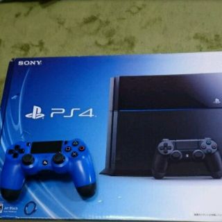 プランテーション(Plantation)のPS4 本体！DLばんソフト付き(家庭用ゲーム機本体)