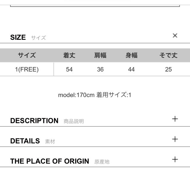 STUDIOUS(ステュディオス)のUNITED TOKYO エンブロイダリーチュールトップス レディースのトップス(シャツ/ブラウス(半袖/袖なし))の商品写真