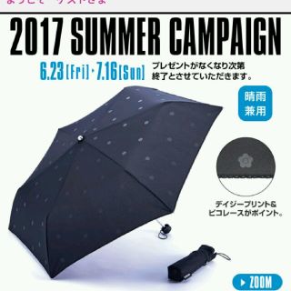 マリークワント(MARY QUANT)のMARY QUANT　デイジー柄　アンブレラ　晴雨兼用傘　新品未使用　(傘)