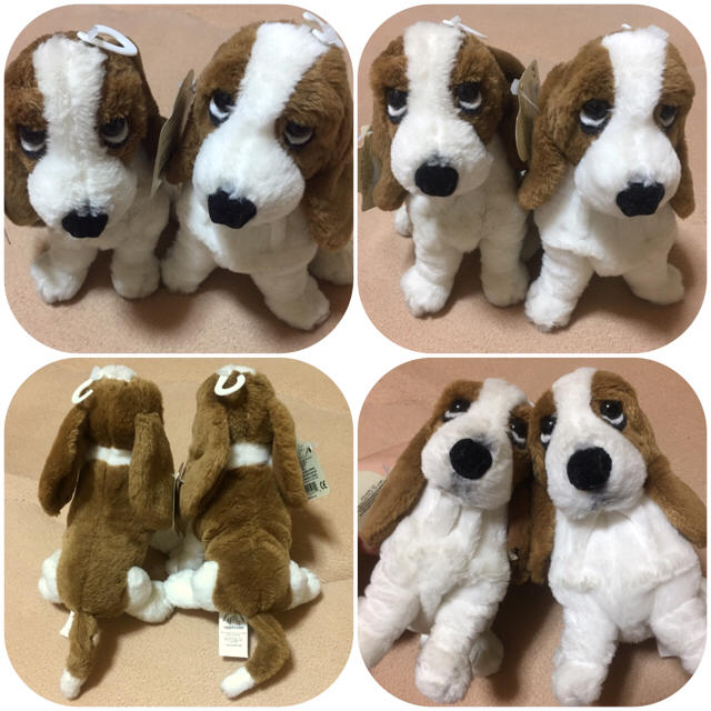 タグ付き ハッシュパピー ぬいぐるみ 犬 Hush Puppies 残り1つの通販 By Himawari S Shop ラクマ