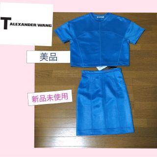 アレキサンダーワン(Alexander Wang)のloveife様専用 ティーバイアレキサンダーワンスカートＸＳ(セット/コーデ)