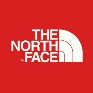 ザノースフェイス(THE NORTH FACE)のこんさん専用激レア新品  The North Face ヒューズボックス30L(リュック/バックパック)