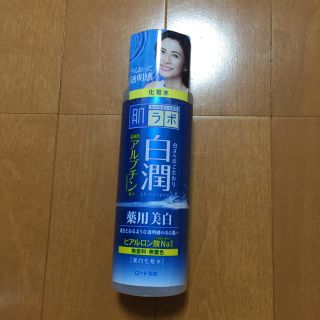 ロートセイヤク(ロート製薬)の☆新品未使用☆肌研 ハダラボ 化粧水(化粧水/ローション)