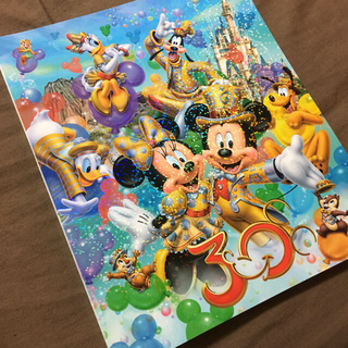 ディズニー(Disney)のディズニーランド30周年アルバム(その他)