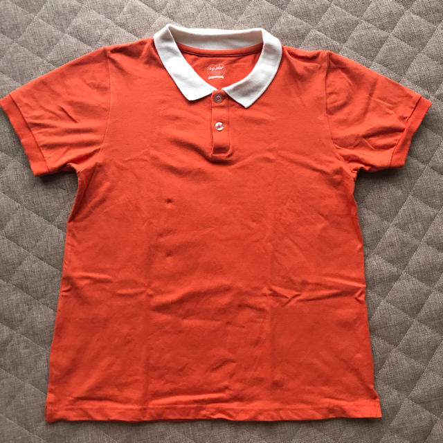 a.g.plus(エージープラス)のポロシャツ レディースのトップス(ポロシャツ)の商品写真