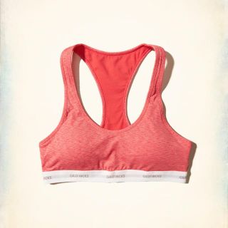 ホリスター(Hollister)のGilly hicks Hollister sports under wear (ブラ)