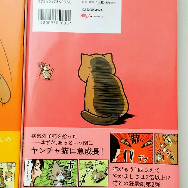 ニャアアアン！ エンタメ/ホビーの漫画(全巻セット)の商品写真