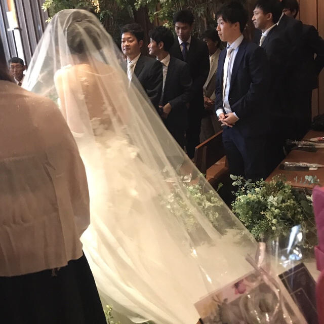 キズあり トリートドレッシング ベール ロング250 ギャザーなしの通販
