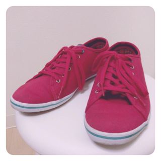 フレッドペリー(FRED PERRY)のローカットスニーカー《桃・pink》(スニーカー)