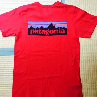 パタゴニア(patagonia)のPatagonia  Tシャツ(Tシャツ/カットソー(半袖/袖なし))