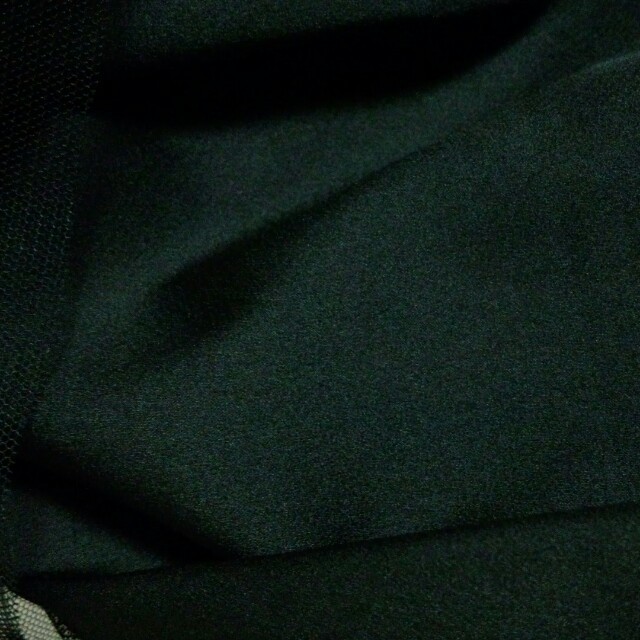 LOWRYS FARM(ローリーズファーム)のローリー＊チュールスカート レディースのスカート(ミニスカート)の商品写真