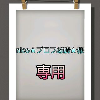 【専用】早期教育 縫い差し 紐通し 教具(知育玩具)