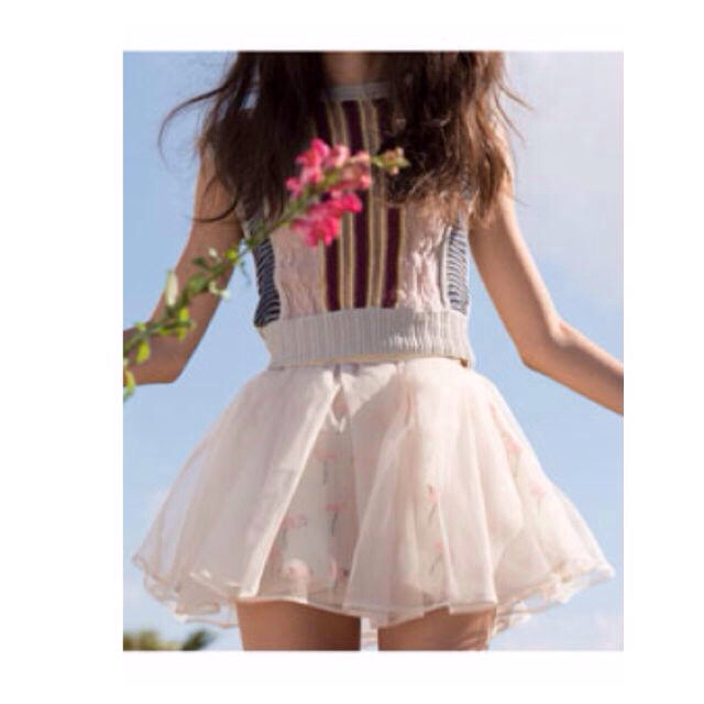 Lily Brown(リリーブラウン)の新品未使用タグ付き☆フラミンゴスカート レディースのスカート(ミニスカート)の商品写真