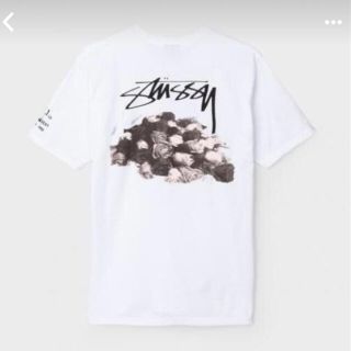 ステューシー(STUSSY)の専用(Tシャツ(半袖/袖なし))