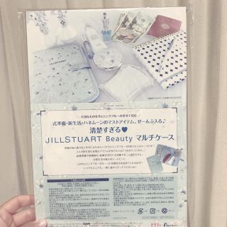 ジルスチュアート(JILLSTUART)のゼクシィ2017年6月号付録 ジルスチュアートマルチケース(ポーチ)