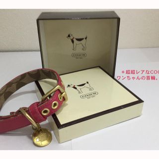 コーチ(COACH)のCOACHの首輪(犬)