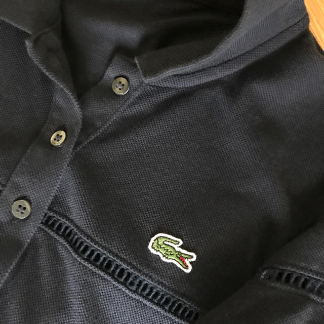 LACOSTE(ラコステ)のLACOSTE レディース 36 レディースのトップス(ポロシャツ)の商品写真