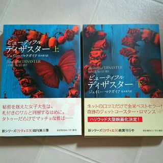 美品 ビューティフル ディザスター 上下巻 恋愛(文学/小説)