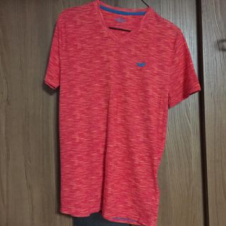 ホリスター(Hollister)のＴシャツ(Tシャツ/カットソー(半袖/袖なし))