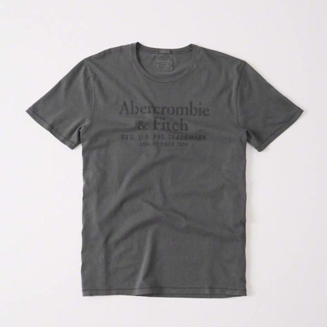 Abercrombie&Fitch(アバクロンビーアンドフィッチ)のきーこ様専用♪新品未使用タグ付き★アバクロメンズ特殊製品染め半袖プリントT  L メンズのトップス(Tシャツ/カットソー(半袖/袖なし))の商品写真