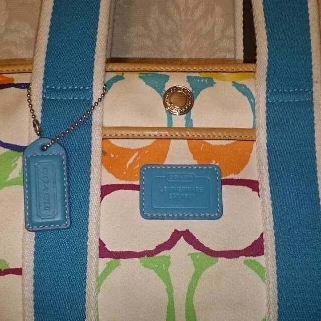 COACH(コーチ)のCOACH bag  マルチカラー☆ レディースのバッグ(ショルダーバッグ)の商品写真