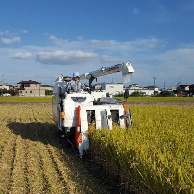 農家直送★ヒノヒカリ 兵庫県産 30キロ 送料無料★ 食品/飲料/酒の食品(米/穀物)の商品写真