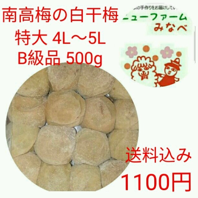 専用です！南高梅の白干 B級品 食品/飲料/酒の加工食品(漬物)の商品写真