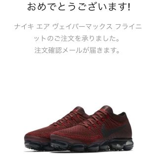 ナイキ(NIKE)のNIKE AIR VAPORMAX 27.5(スニーカー)