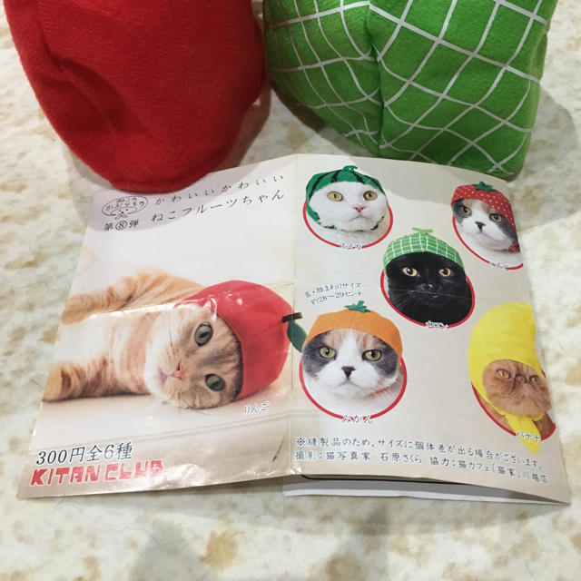 ねこフルーツちゃん セット その他のペット用品(猫)の商品写真