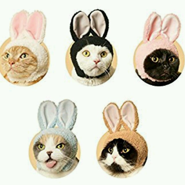 かわいいかわいい ねこうさぎちゃん 全５種類 猫の帽子 犬の帽子 ブライスの帽子 その他のペット用品(猫)の商品写真