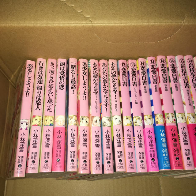 講談社 - 古本 小林深雪 小説 24冊セットの通販 by y*'s shop 講談社 - 古本 小林深雪 小説 24冊セットの通販 by y*'s shop